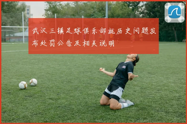 武汉三镇足球俱乐部就历史问题发布处罚公告及相关说明